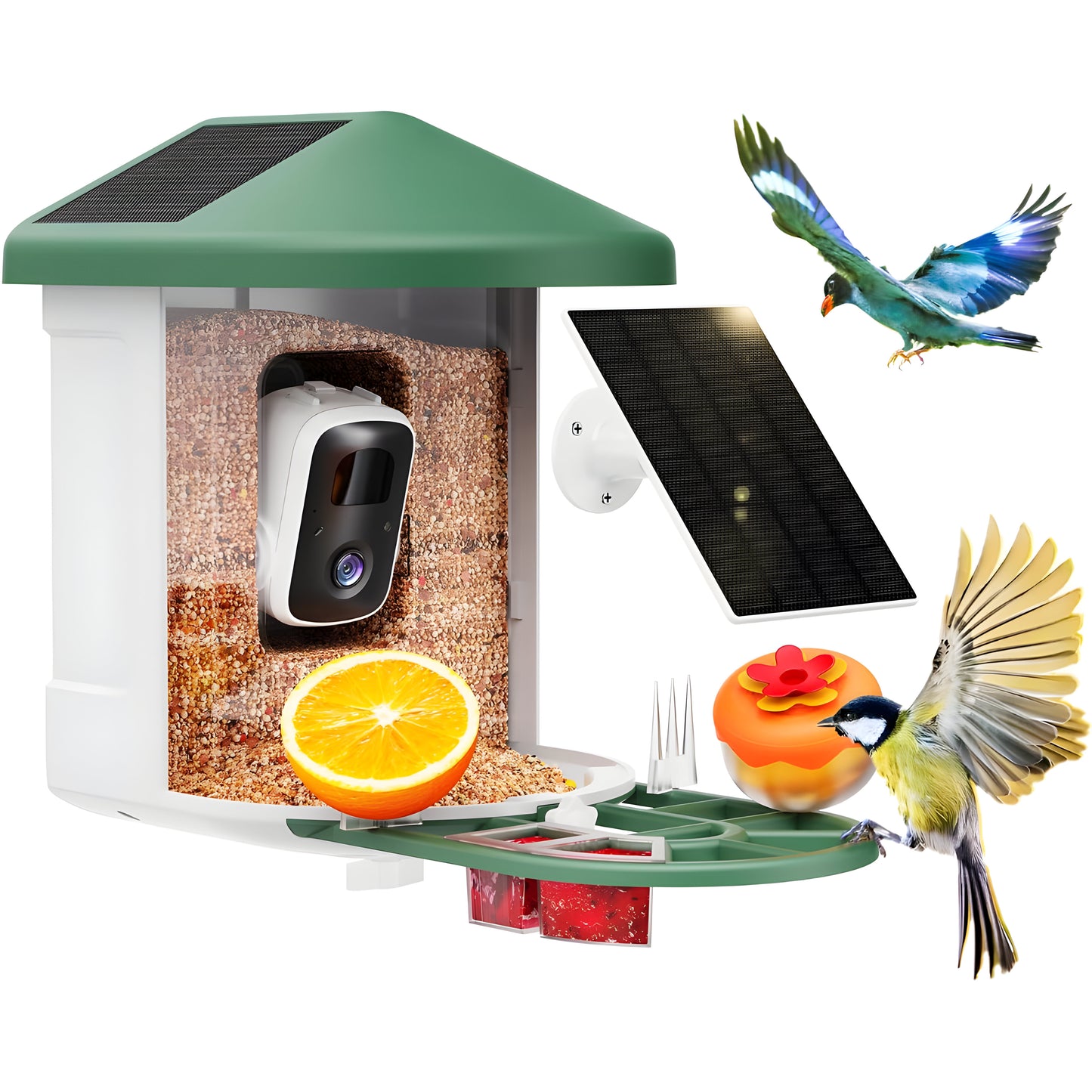 Vogelhaus Kamera Solar WLAN Vogelbeobachtung