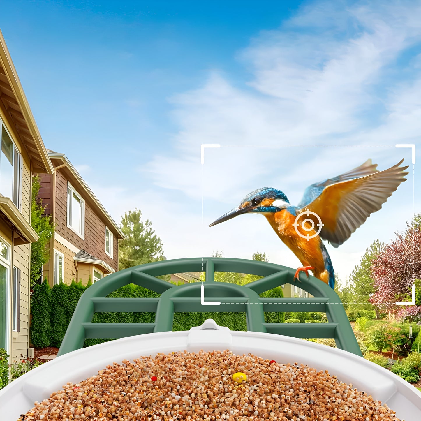 Vogelhaus Kamera Solar WLAN Vogelbeobachtung