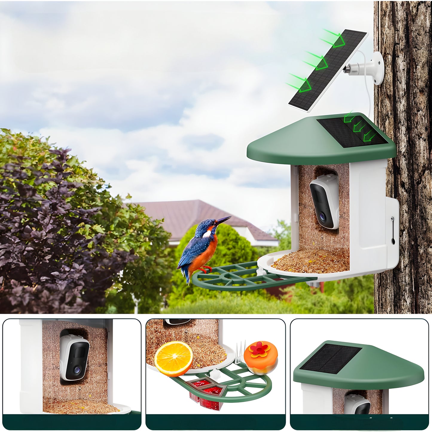 Vogelhaus Kamera Solar WLAN Vogelbeobachtung