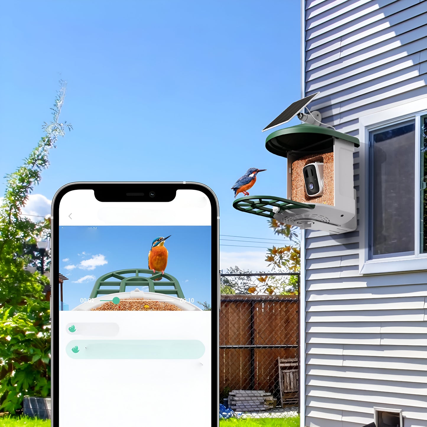 Vogelhaus Kamera Solar WLAN Vogelbeobachtung