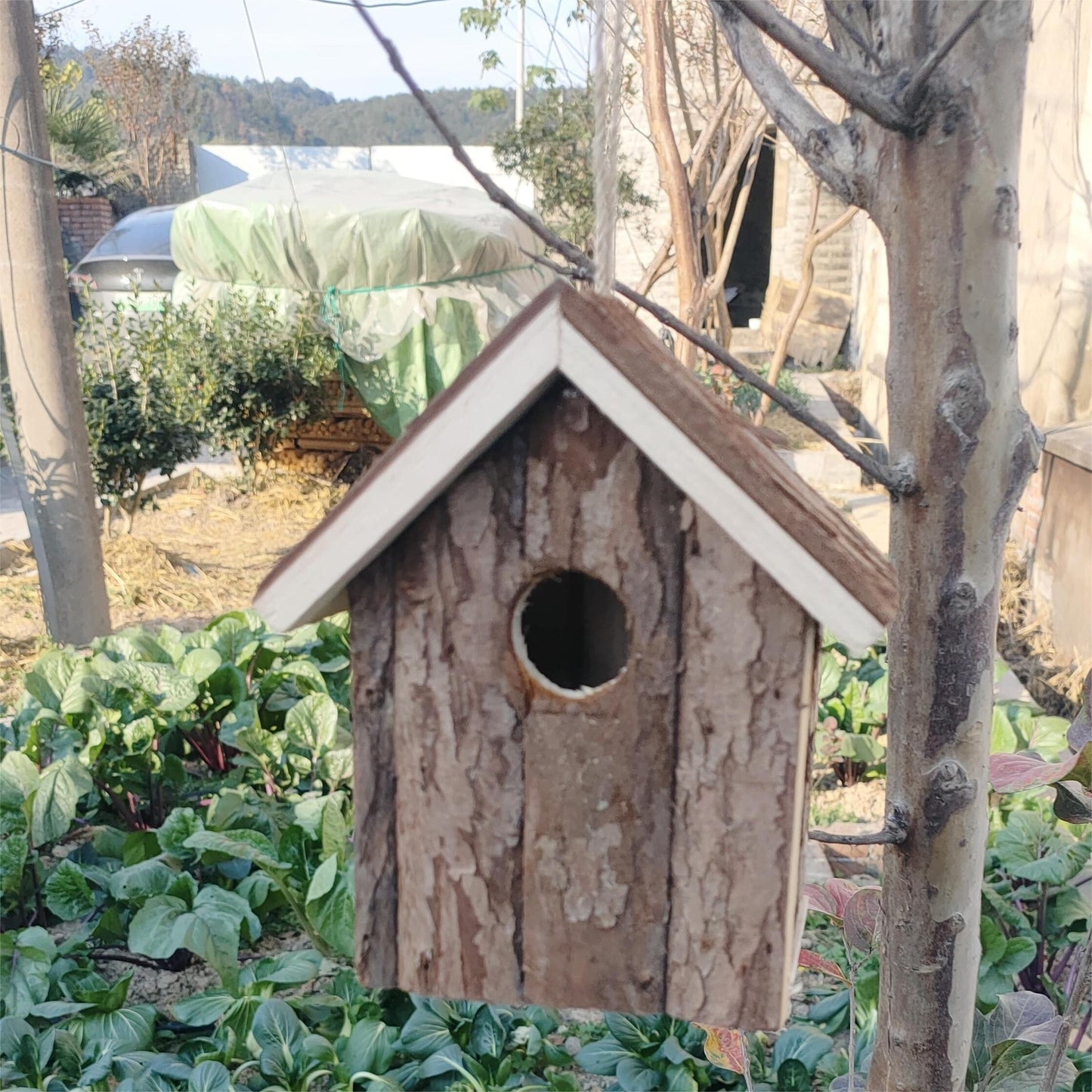 Vogelhaus Rustikales Holz Nistkasten Outdoor