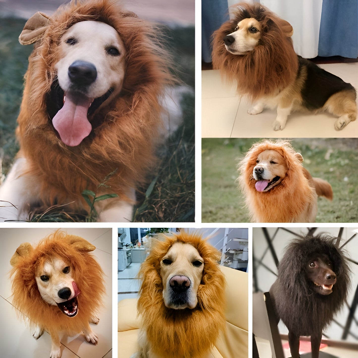Hundekostüm Löwenmähne Plüsch Halloween