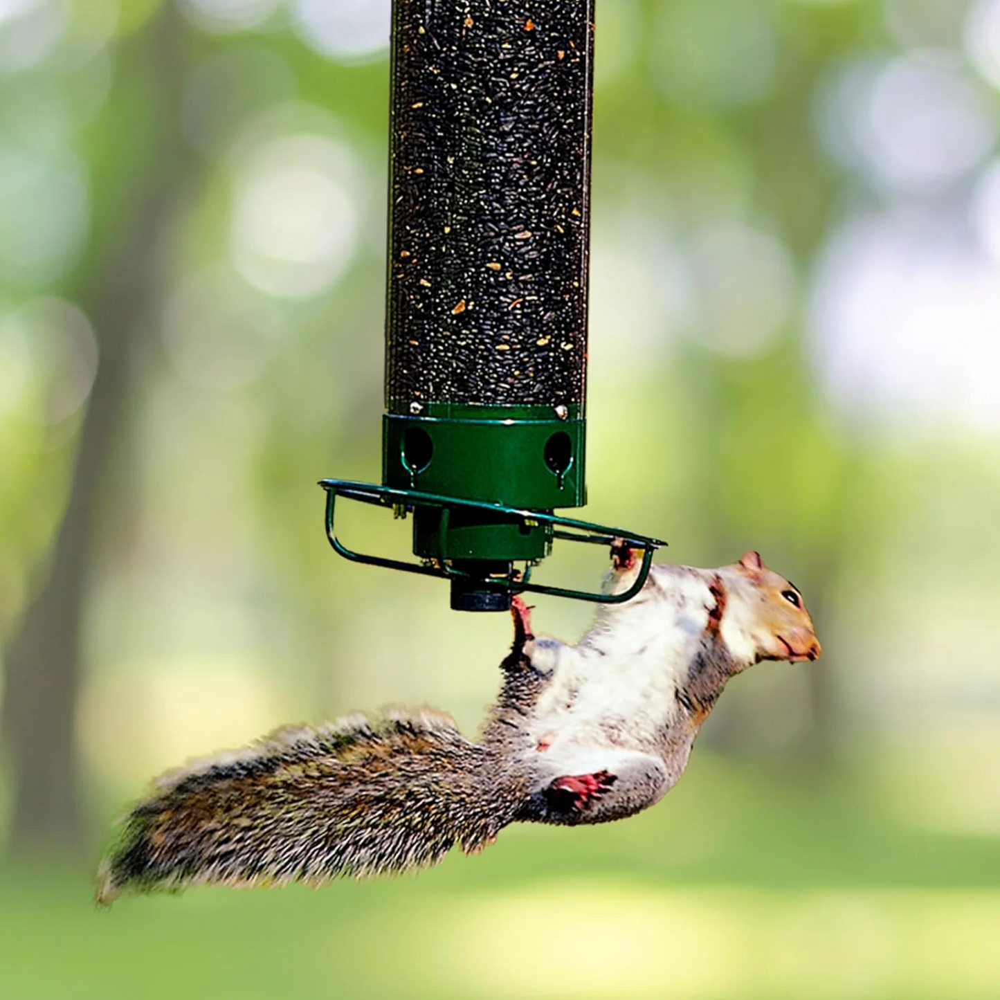 Vogelfutterspender Metall Wetterfest Hängend