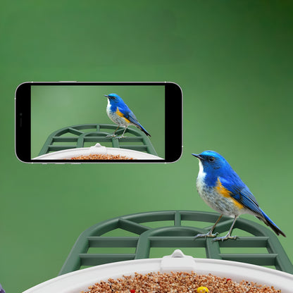 Vogelhaus Kamera Solar WLAN Vogelbeobachtung