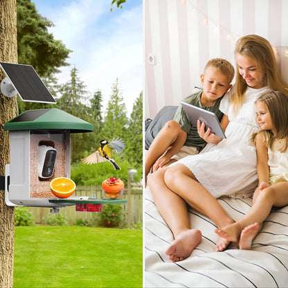 Vogelhaus Kamera Solar WLAN Vogelbeobachtung