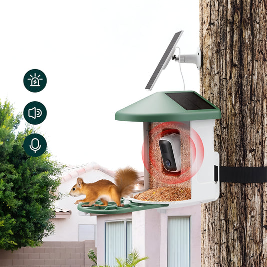Vogelhaus Kamera Solar WLAN Vogelbeobachtung