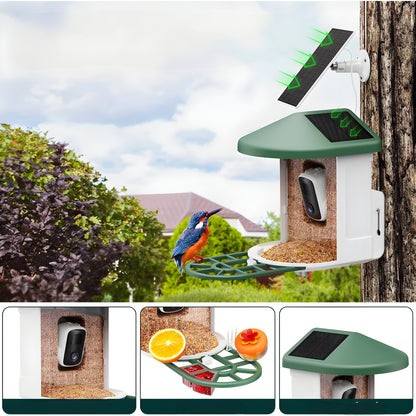 Vogelhaus Kamera Solar WLAN Vogelbeobachtung