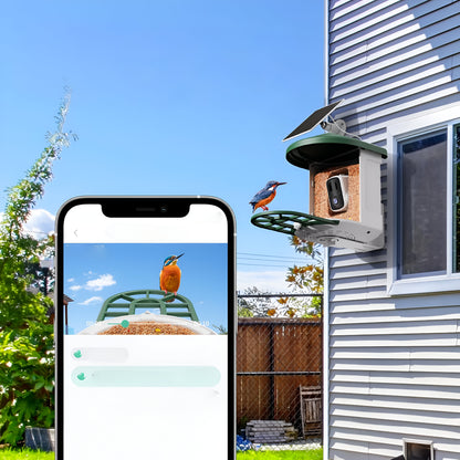 Vogelhaus Kamera Solar WLAN Vogelbeobachtung