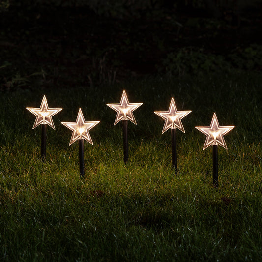 Acrylic Star Stake Lights