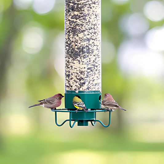 Vogelfutterspender Metall Wetterfest Hängend